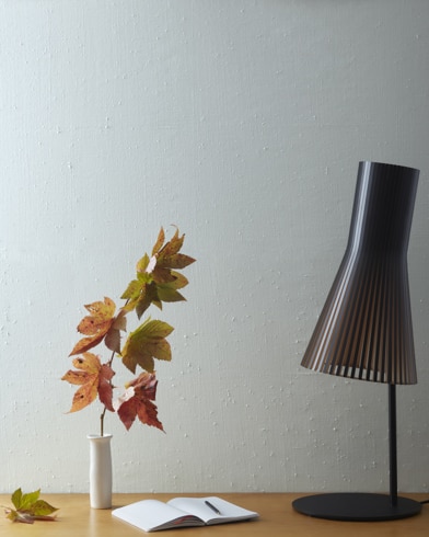 Painted wall with Palace Pearl CW-650