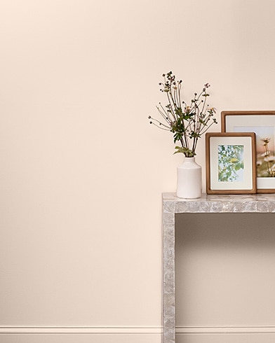 Painted wall with Tissue Pink 1163