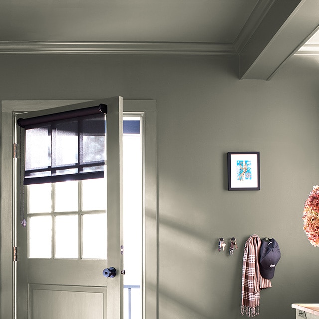A home entryway wall, ceiling, trim, open door, all painted a green hue with a hint of gray. A home entryway wall, ceiling, trim, open door, all painted a green hue with a hint of gray.