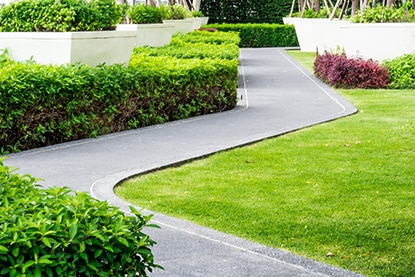 Winding paved path with surrounding shrubbery. Winding paved path with surrounding shrubbery.