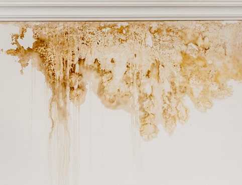 Surfactant leaching on a white interior wall. Surfactant leaching on a white interior wall.